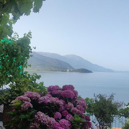 Villa Malezan Ochrid Exteriér fotografie