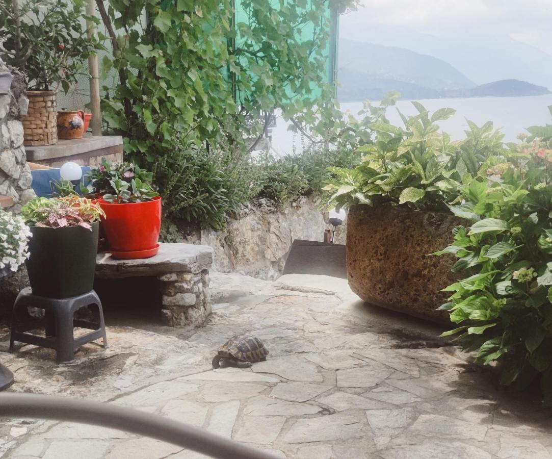 Villa Malezan Ochrid Exteriér fotografie
