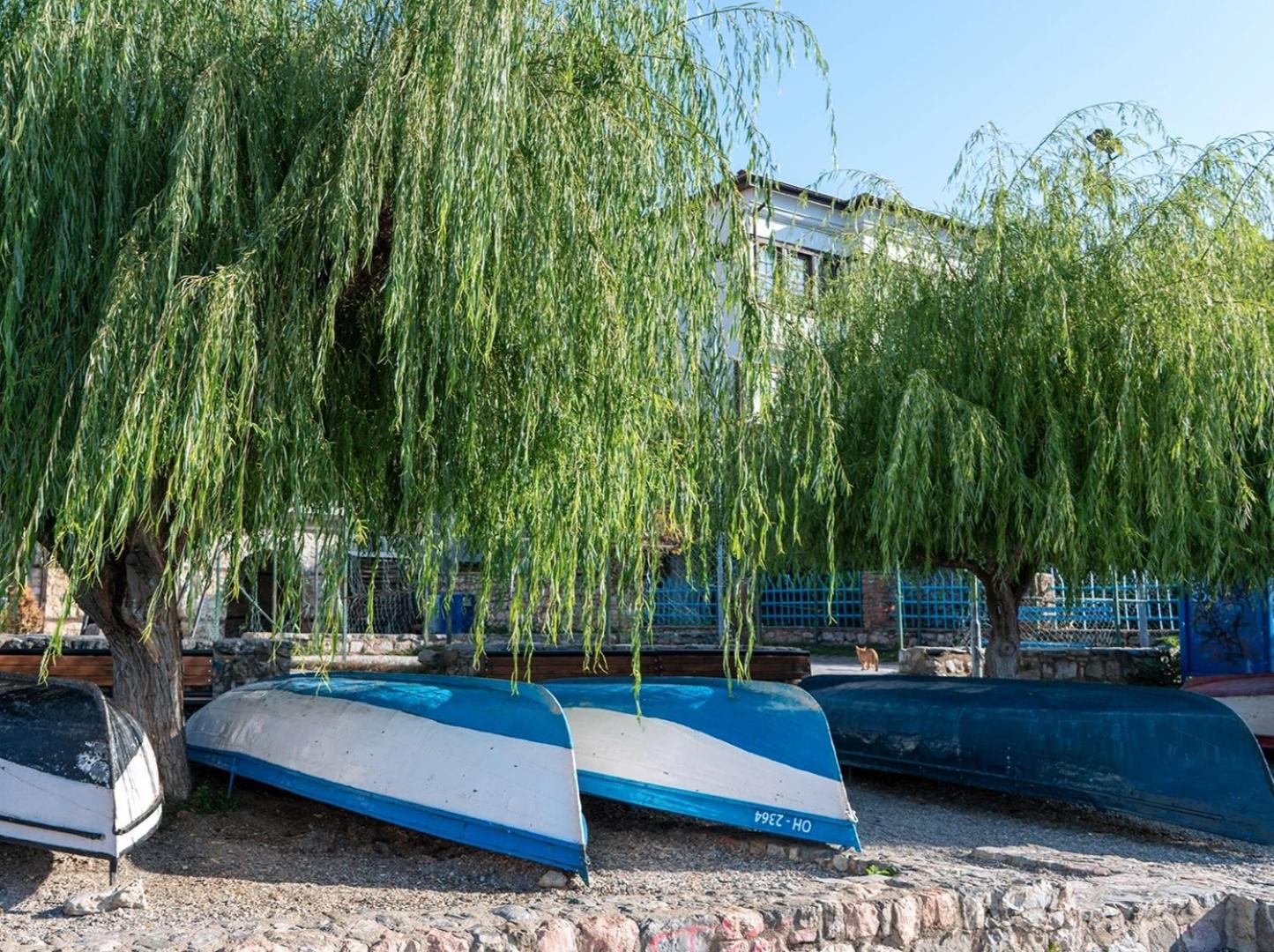 Villa Malezan Ochrid Exteriér fotografie