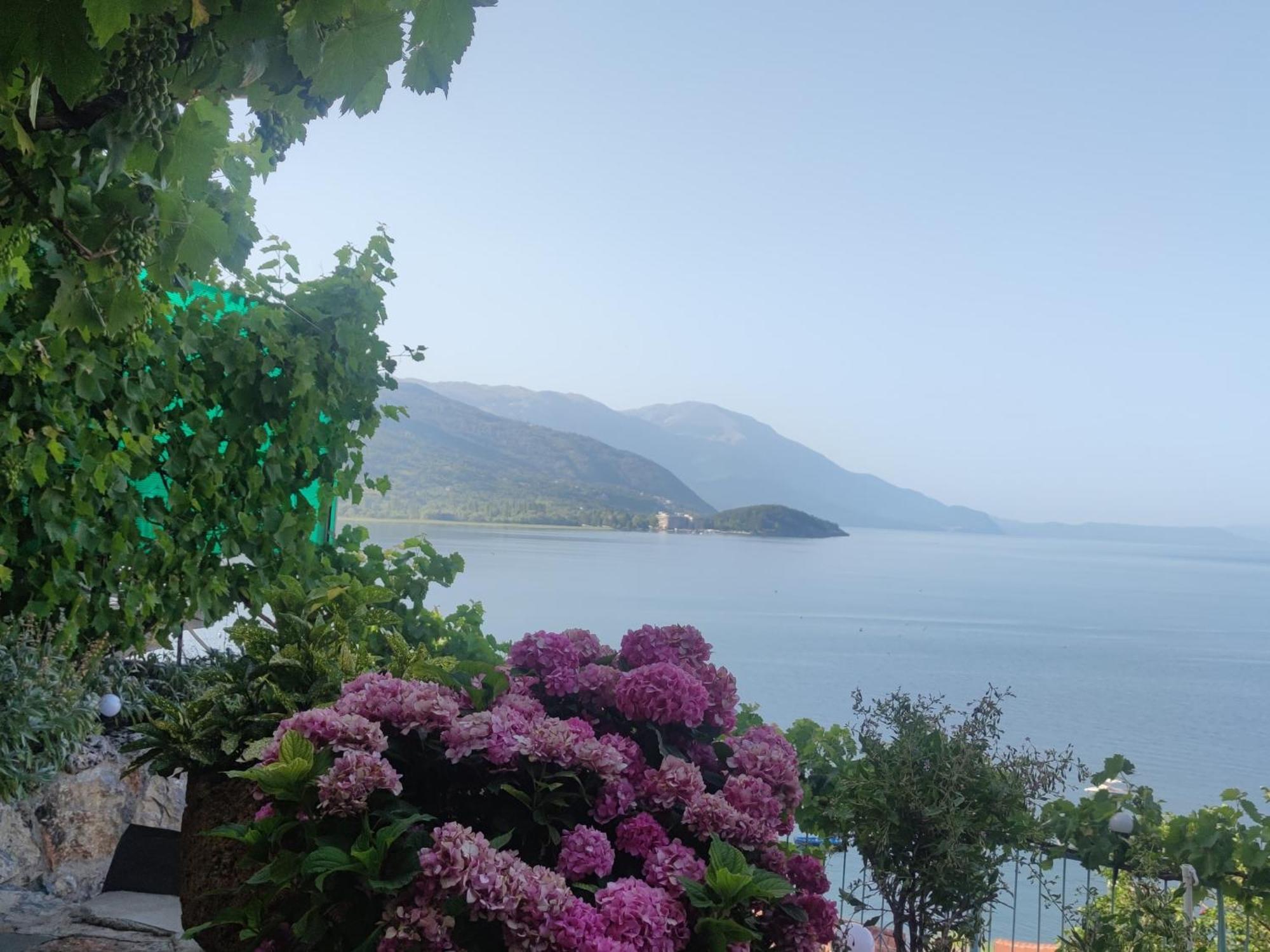 Villa Malezan Ochrid Exteriér fotografie